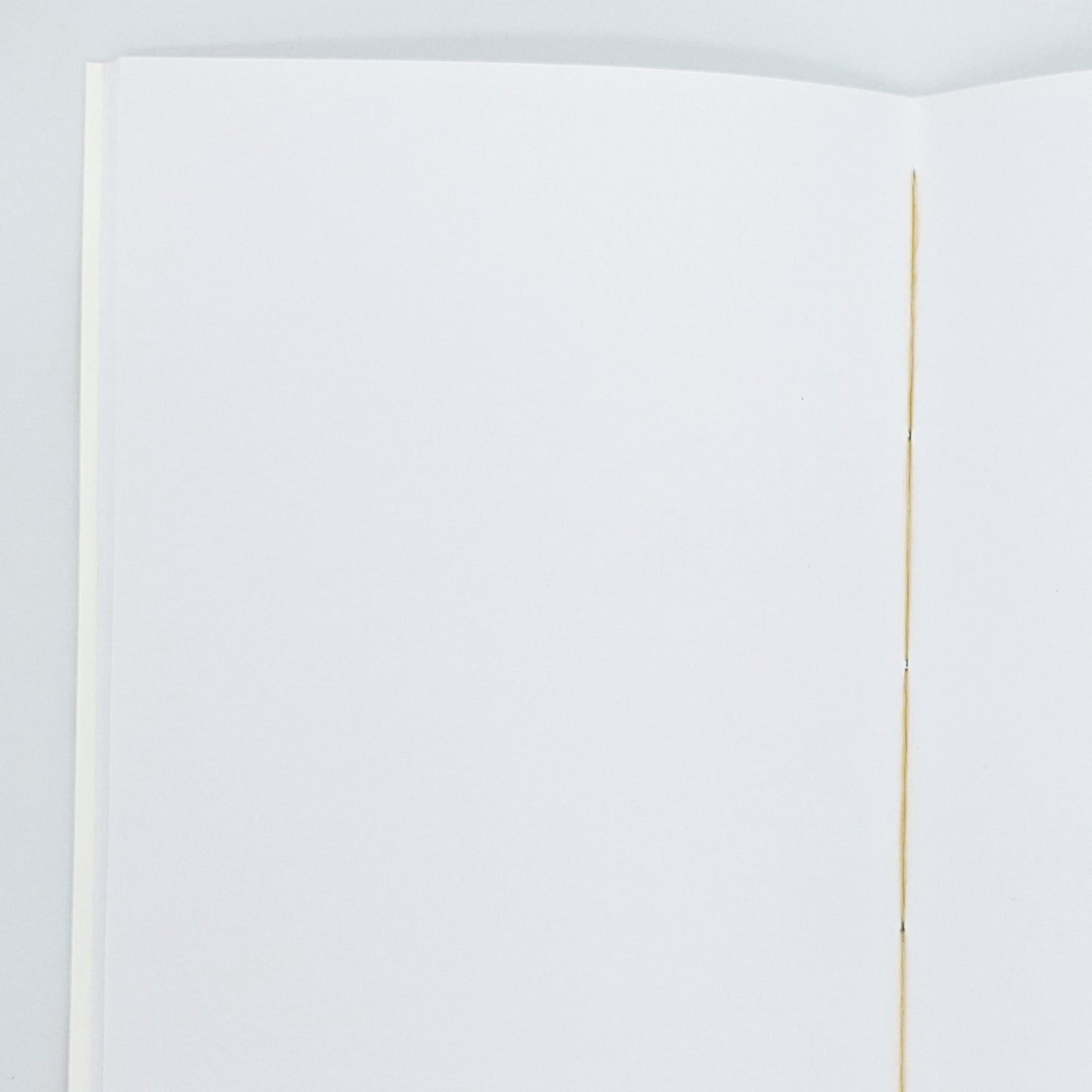 Notizbuch - Blanko - Blau-Gold C